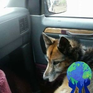 Meet your Posher, Bill